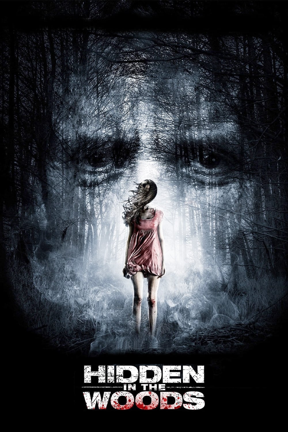 Постер Hidden in the Woods
